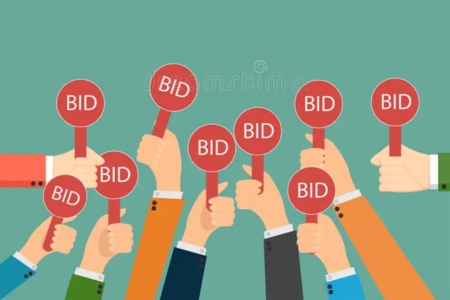 Player Categories and Bidding Process