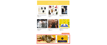 Banner Ad