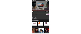 Video Ad