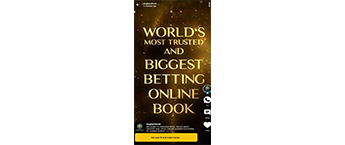Video Ad