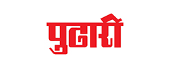 Newspaper Pudhari, Website