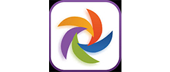 Polimer News, Website