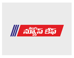 Telugu News Hub, Website