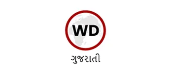 WebDuniya Gujarati, Website