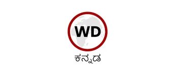 WebDuniya Kannada, Website