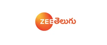 Zee Telugu, Website