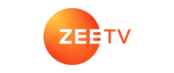 Zee TV, Website
