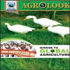 Agrolook