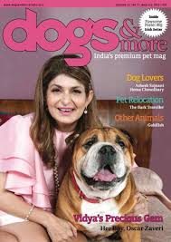 Dogs & More
