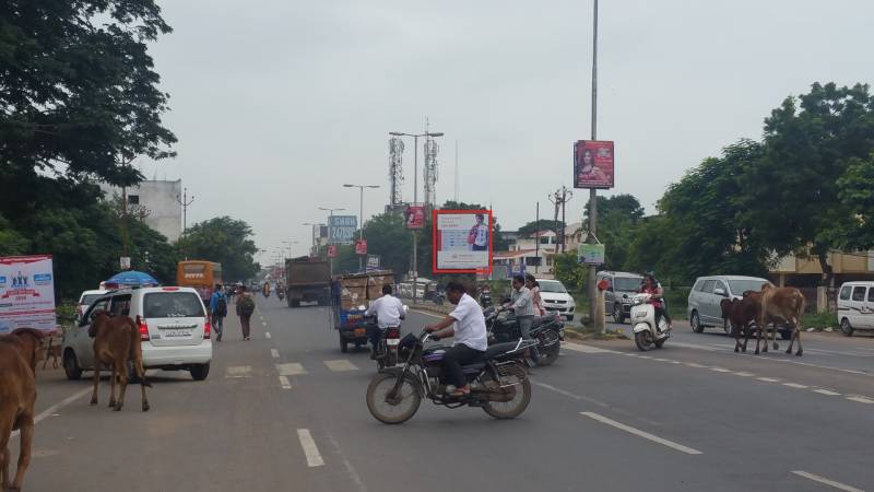 Unipole - Bholav Road, Bharuch, Gujarat