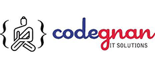 Codegnan IT Solutions OPC P
