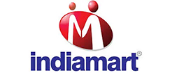 Indiamart, Website