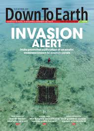 Down To Earth Down To Earth