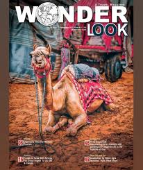 Wonder Look Wonder Look