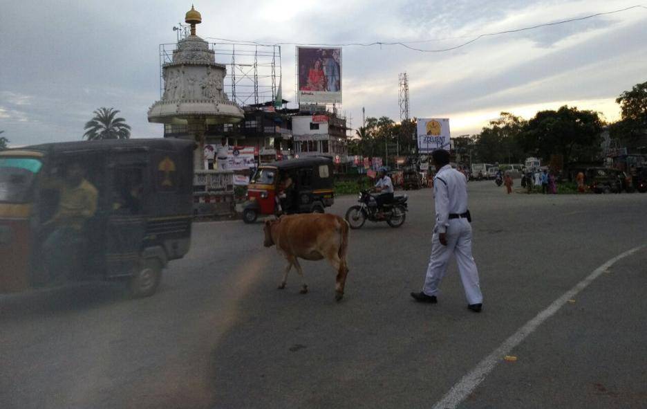 Outdoor Advertising image